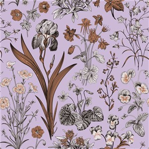 古典线描花卉植物素材