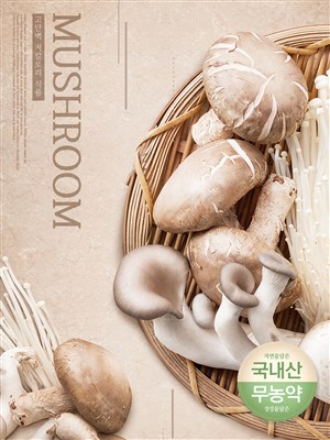 韩国健康新鲜香菇餐饮美食电商促销宣传海报