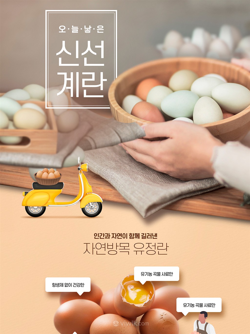 韩国新鲜鸡蛋美食打折促销网页设计