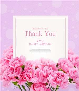 粉色康乃馨母亲节海报模板