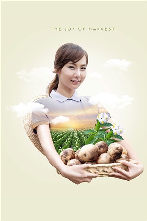 美女捧土豆農場果園豐收創意插畫海報模板