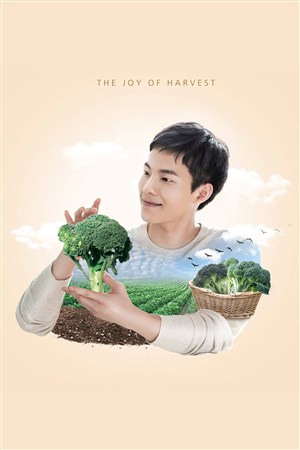 男生手握西藍花農場果園豐收創意插畫海報模板
