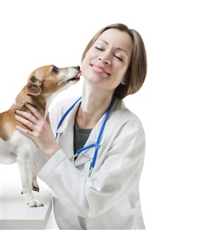 寵物醫院友好的可愛小狗舔醫生的臉圖片