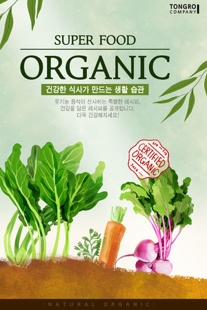 有机白菜萝卜蔬菜健康美食海报广告模板