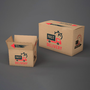 兩種尺寸的紙盒快遞包裝盒貼圖樣機