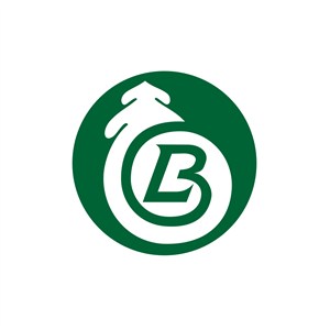 酒店旅游B字logo标志