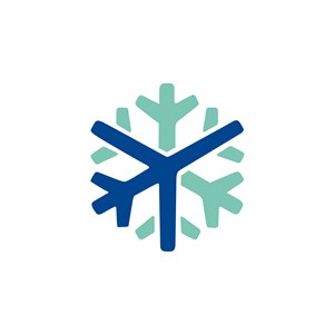 雪花飞机航空公司logo
