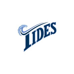 水上冲浪IIDES标志logo