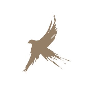 飞鸟设计传媒公司logo