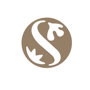 服饰时尚S字母logo标志