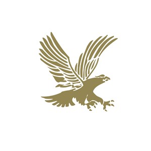 电子机械老鹰logo标志