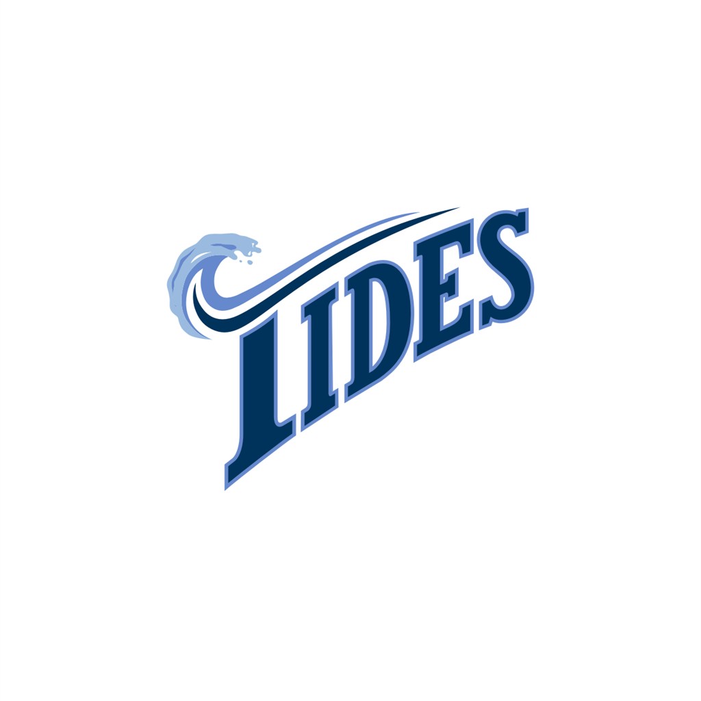 水上冲浪IIDES标志logo