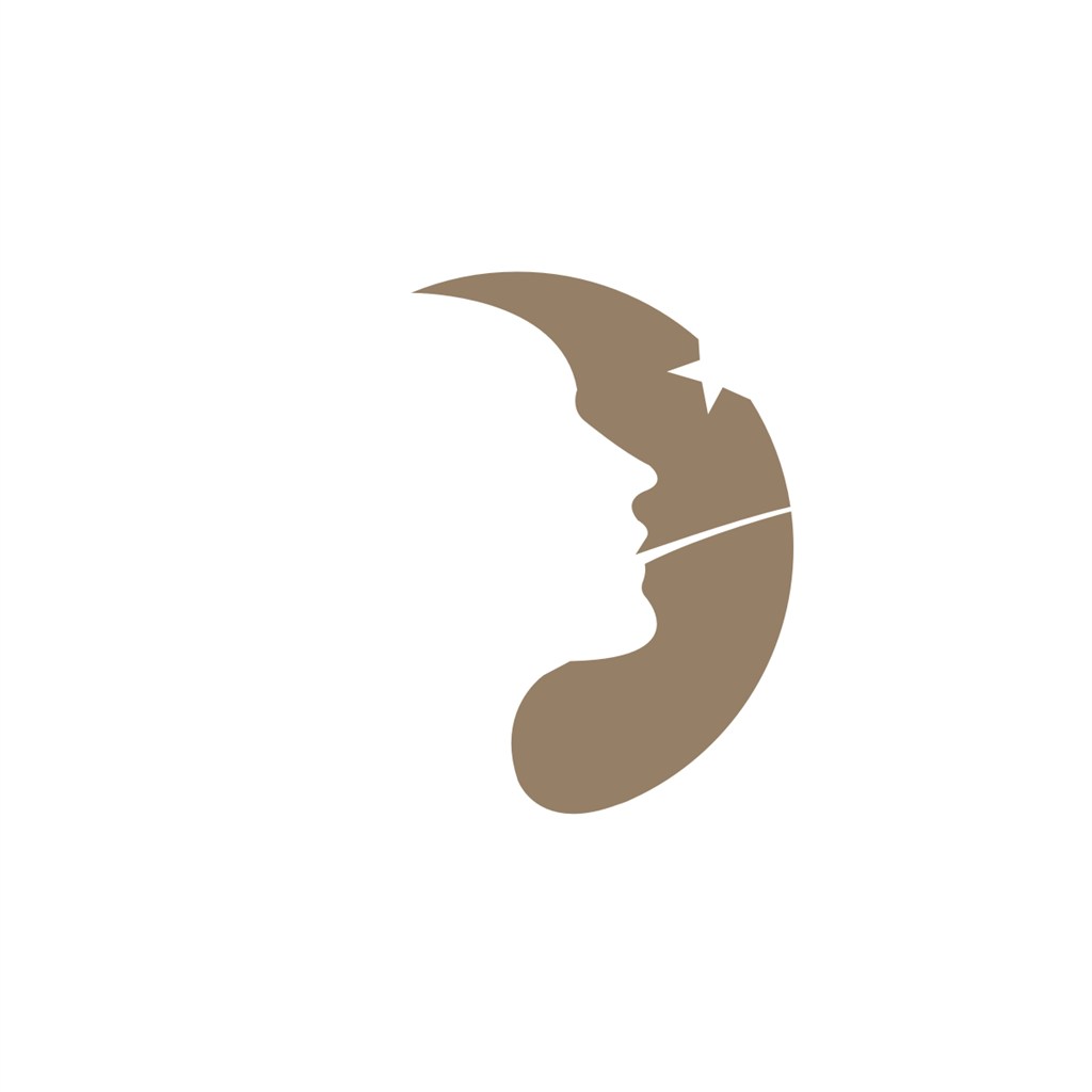 美女月亮美容医疗logo设计