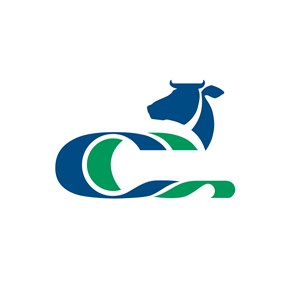 C字母牛图案设计传媒logo
