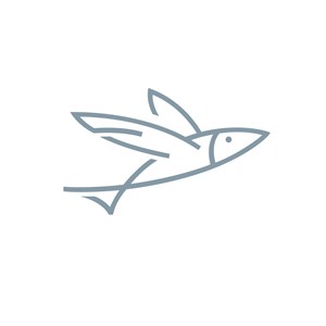 飞鱼设计传媒公司logo