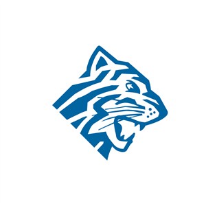 猎豹设计传媒公司logo