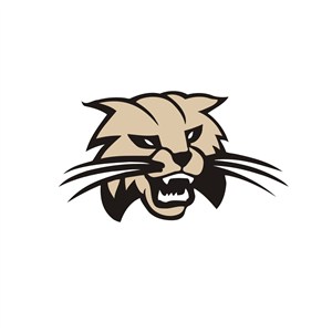 豹子图案设计传媒公司logo