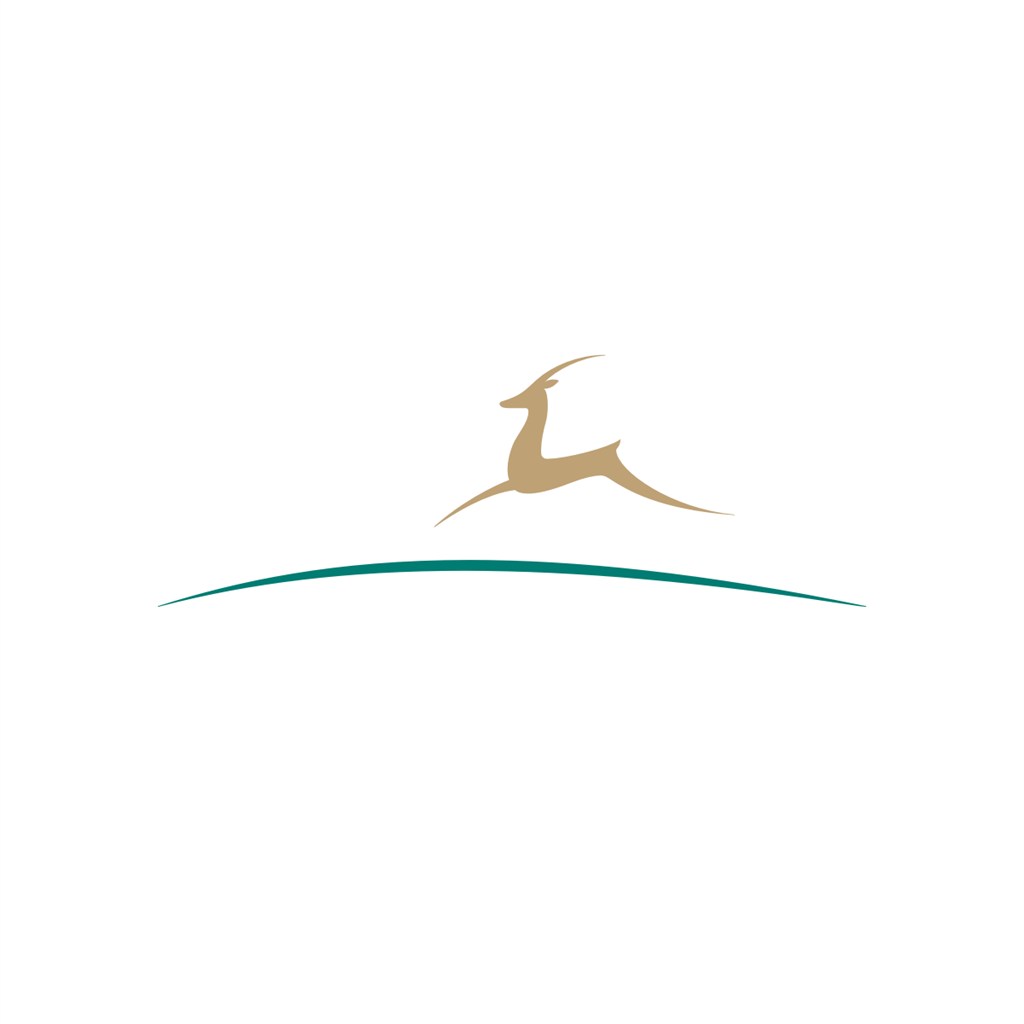 羚羊运动休闲logo