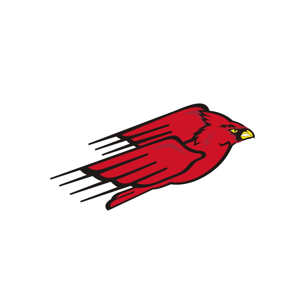 飞鹰商务公司标志设计