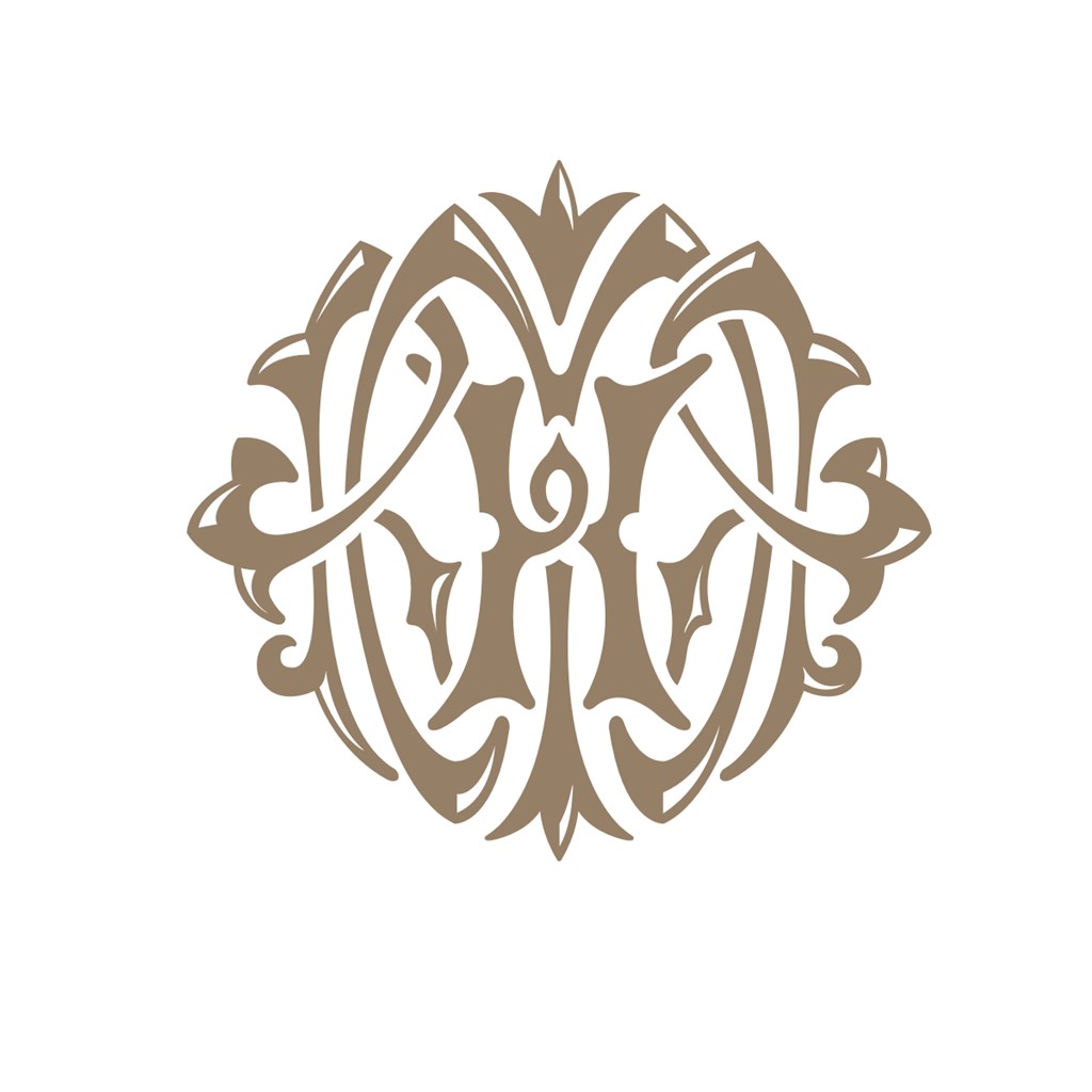 H花纹美容医疗logo设计