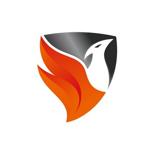 黑色橙色鸟火焰盾牌矢量logo图标