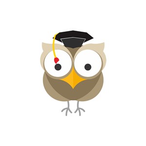 戴博士帽的猫头鹰矢量logo图标设计