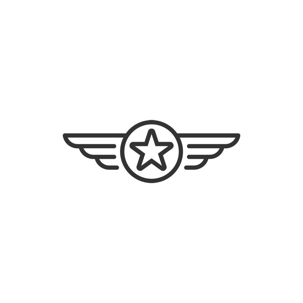 五角星翅膀矢量logo元素