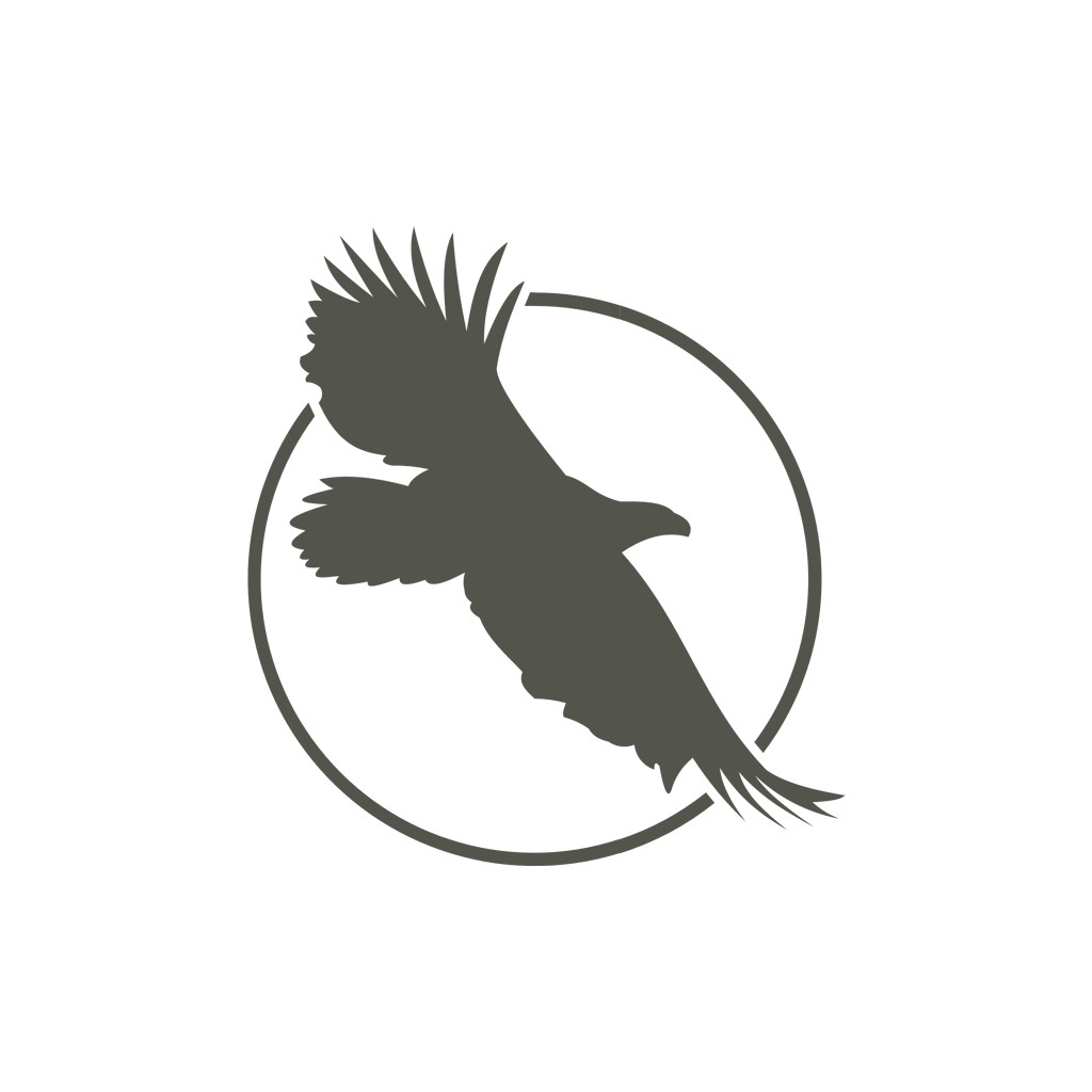 飞翔的老鹰矢量logo图标
