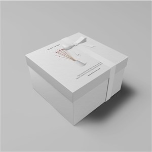 礼品包装盒贴图样机简约包装盒设计样机