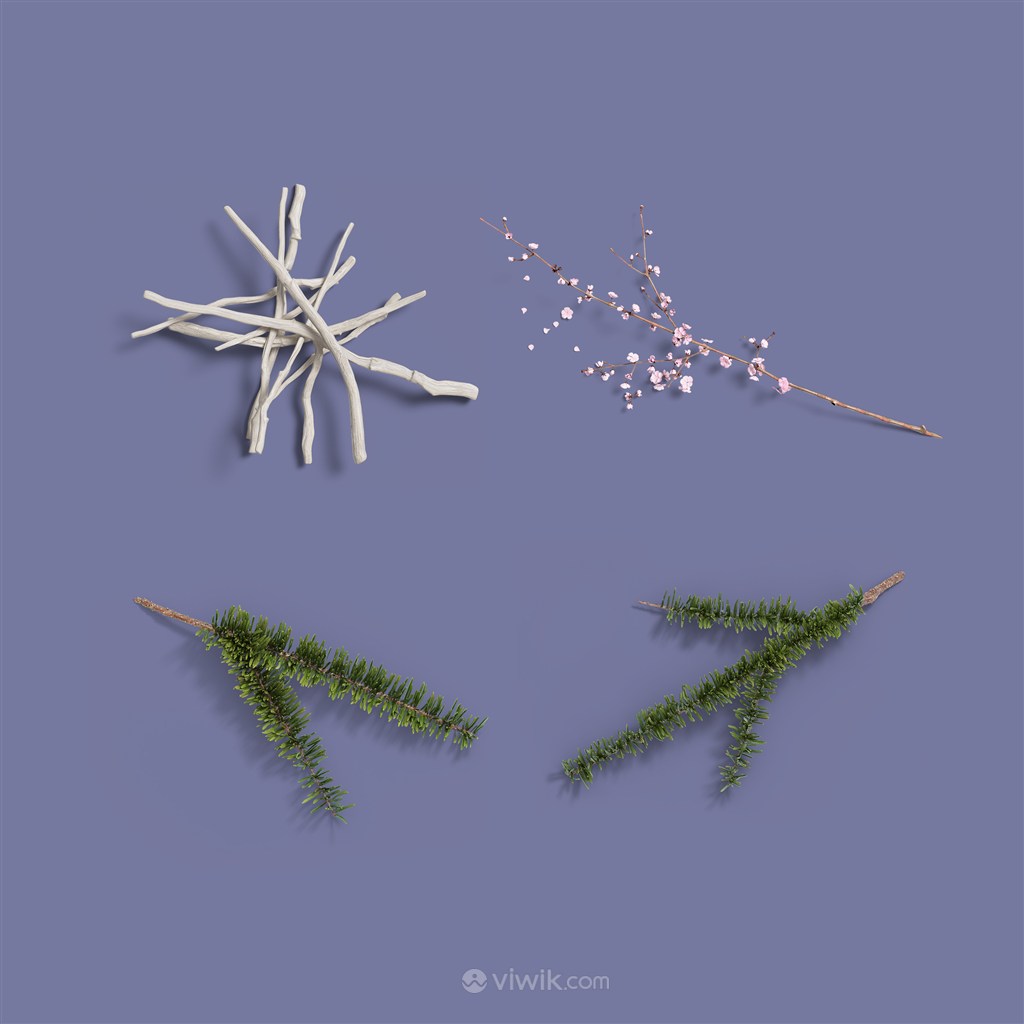 干花树枝圣诞节主题元素样机素材