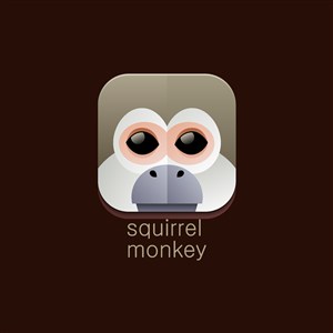 设计传媒logo素材松鼠猴图标