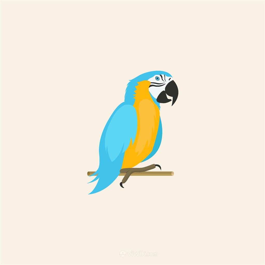 鹦鹉矢量图标宠物店logo设计素材