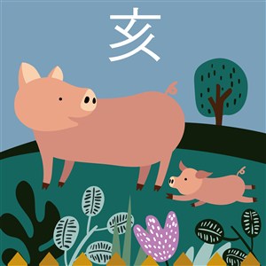 十二生肖插画之亥猪