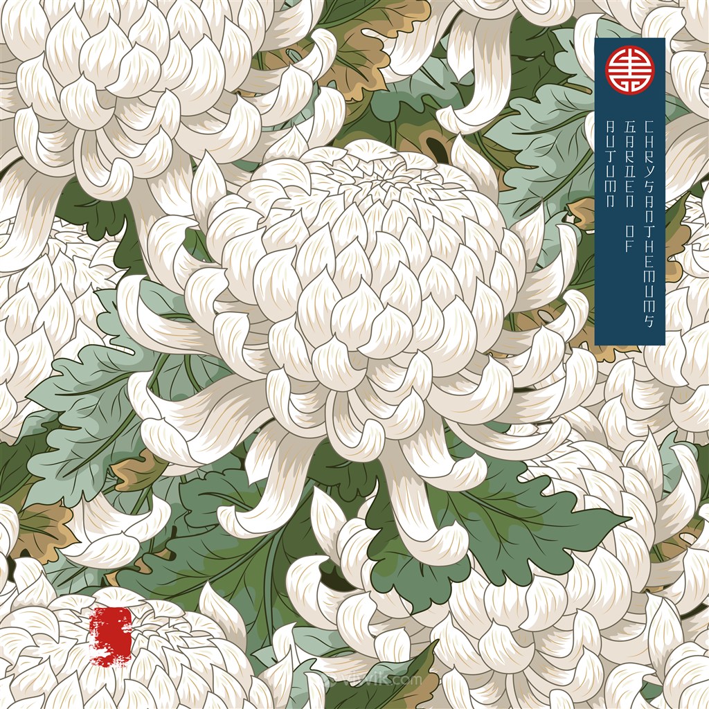 古典中式白菊花纹底纹
