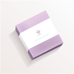 紫色化妆品护肤品包装盒贴图样机