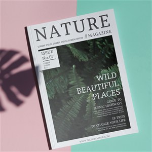 简单背景下的自然杂志样机