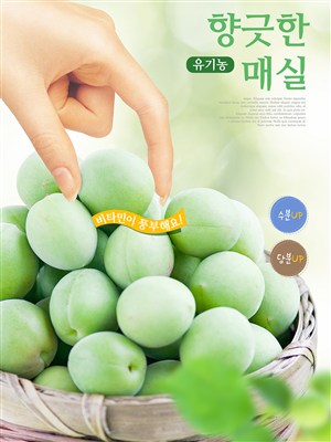 韩国健康绿色水果美食电商促销宣传海报