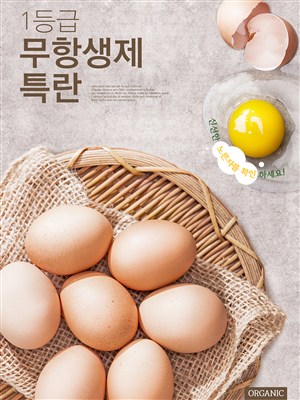 韩国鸡蛋美食电商促销宣传海报