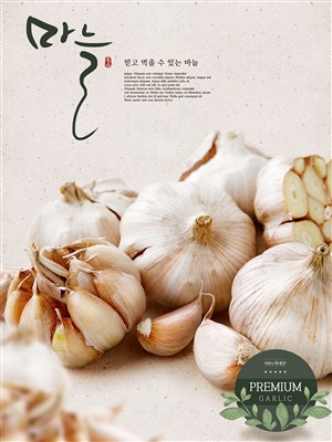 韩国大蒜美食电商促销banner宣传海报 