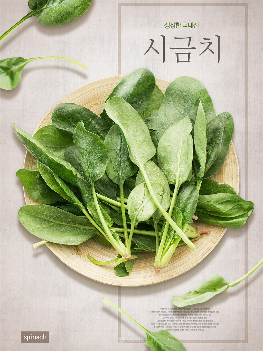 韩国健康绿色菠菜美食电商促销宣传海报 
