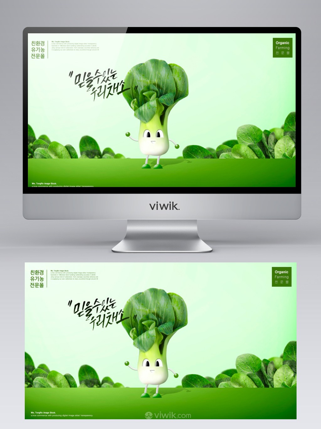 新鲜有机白菜蔬菜绿色背景banner海报设计素材