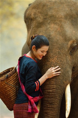 抱着大象鼻子的美女高清野生动物图片
