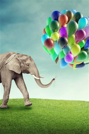 气球与大象高清野生动物图片
