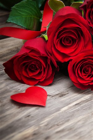 三只红色玫瑰鲜花图片