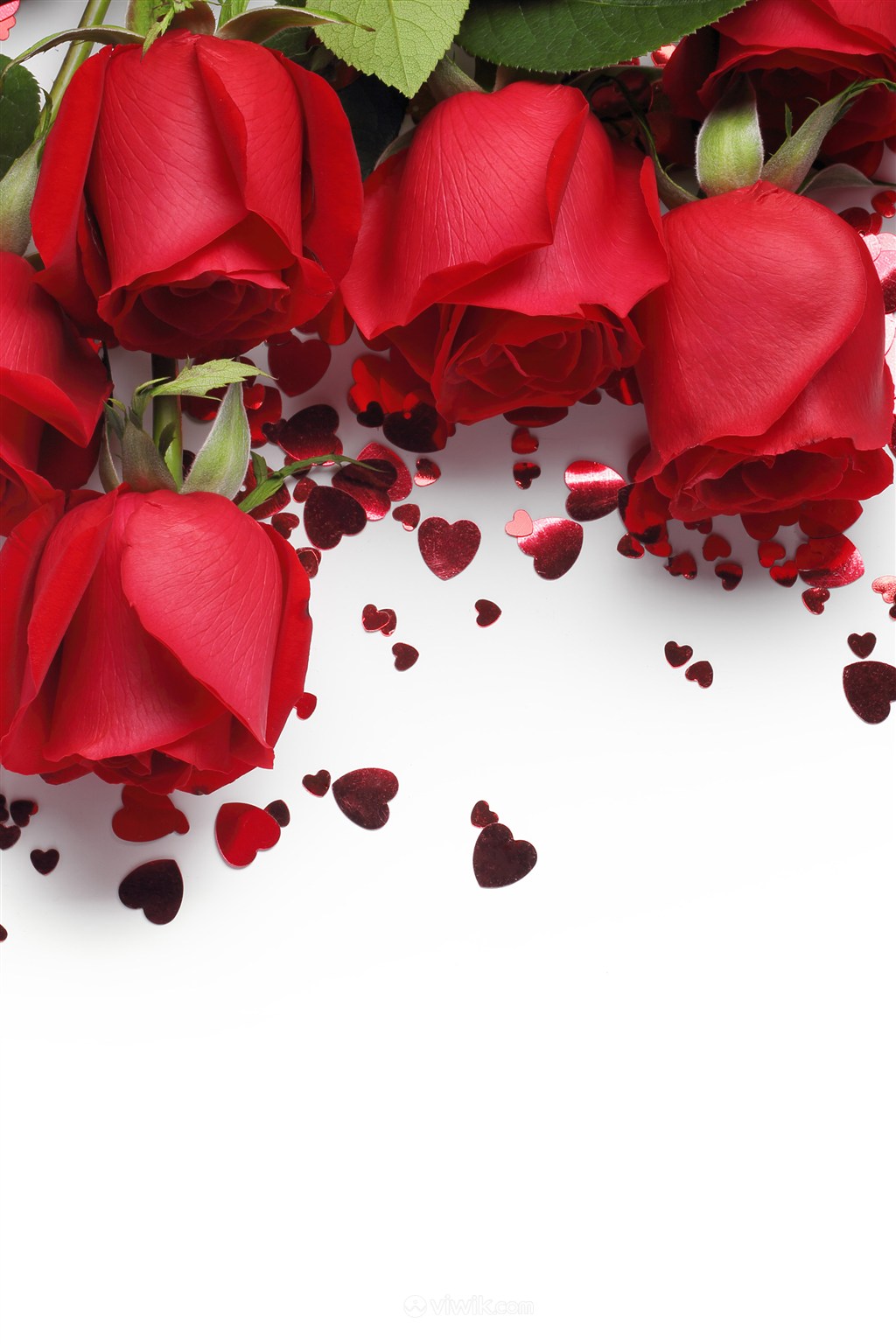洒满心形碎片的红色玫瑰鲜花图片