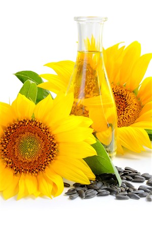 花瓶瓜子与向日葵鲜花图片