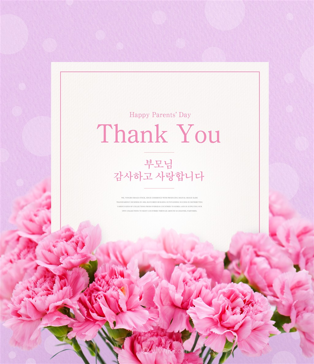粉色康乃馨母亲节海报模板