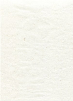 白色纹理纹路古典纸纹背景图片