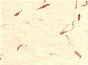 鮮花花瓣紙張橫板中式斑駁紙紋背景圖片