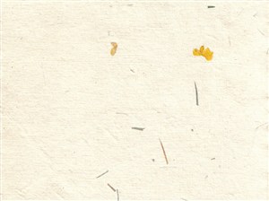 稻草花瓣横板中式斑驳纸纹背景图片